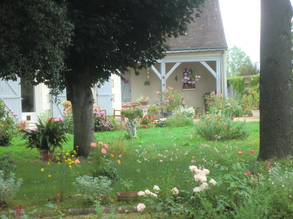 Chambre D'Hotes La Belle Saison Villedomer エクステリア 写真